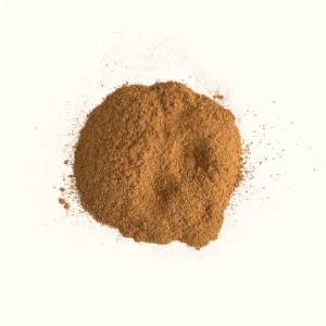 Ceylon Cinnamon Powder Bio