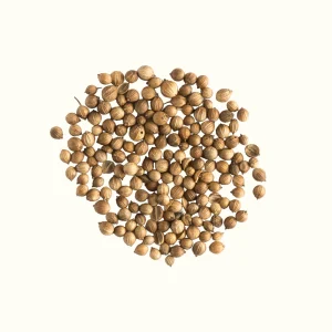 Coriander